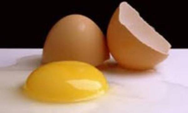 با تخم مرغ قهر نکنید!