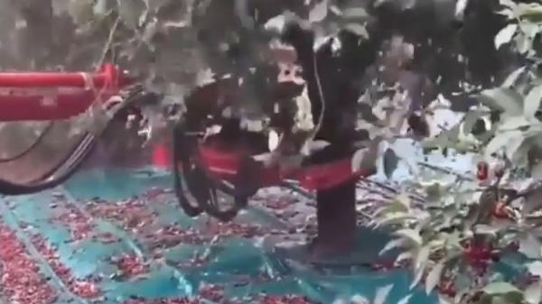 دستگاهی برای جمع آوری محصولات کشاورزی دستگاهی برای جمع آوری محصولات کشاورزی