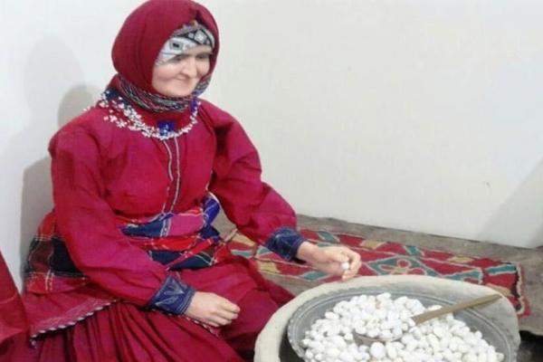 فاز دوم موزه مینودشت در استان گلستان افتتاح شد فاز دوم موزه مینودشت در استان گلستان افتتاح شد
